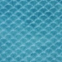 hgBabyModo-Baby Blue Agave